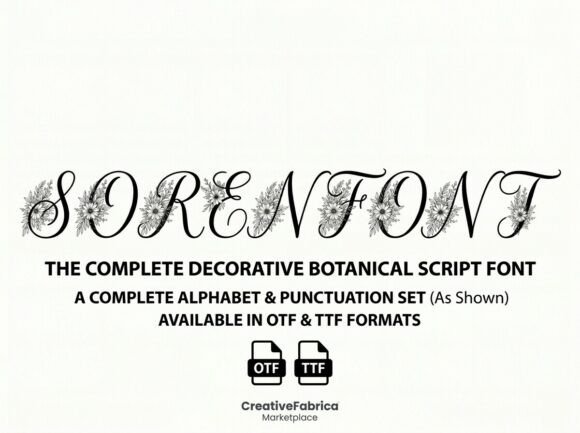 Soren: A Designer's Honest Review for Real Projects